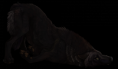/album/fotogaleria/lefice-41240-35221-png/