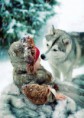 /album/fotogaleria/a578582-273978352727732-259738934-n-jpg/